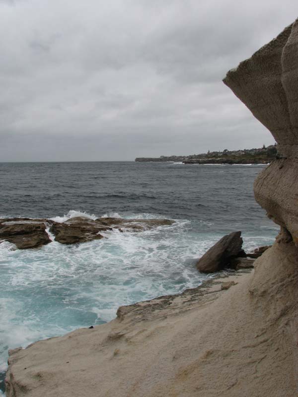 Coogee Coastline